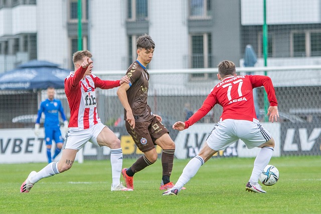 能让球迷们 能让球迷们