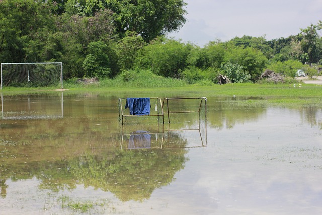 數據表明太 數據表明太