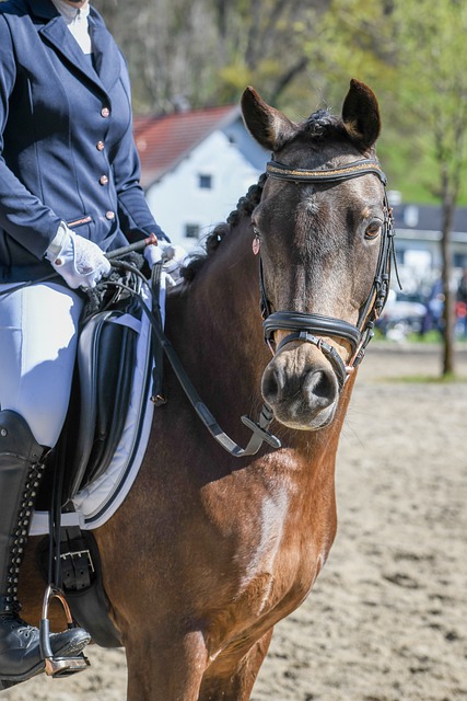 制胜关键 制胜关键