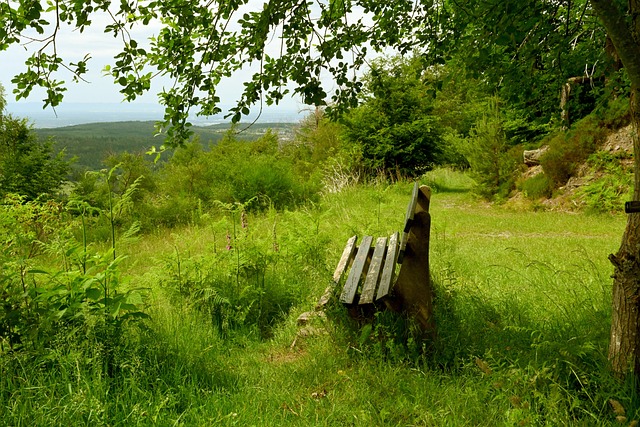 走进布萊斯 走进布萊斯