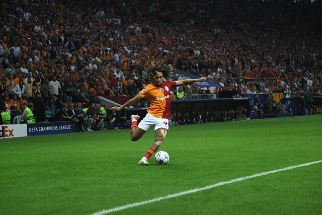 在全国范围 在全国范围