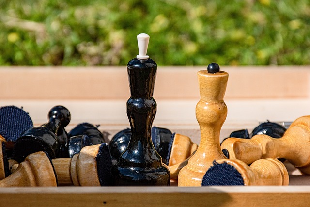 中国排球界 中国排球界