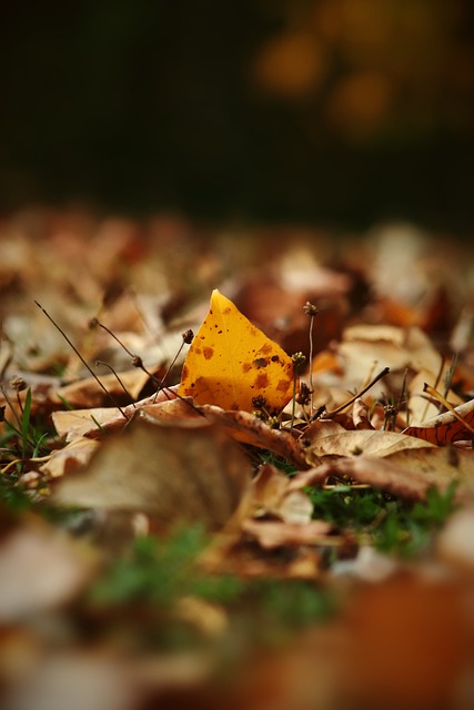 开放的姿态 开放的姿态