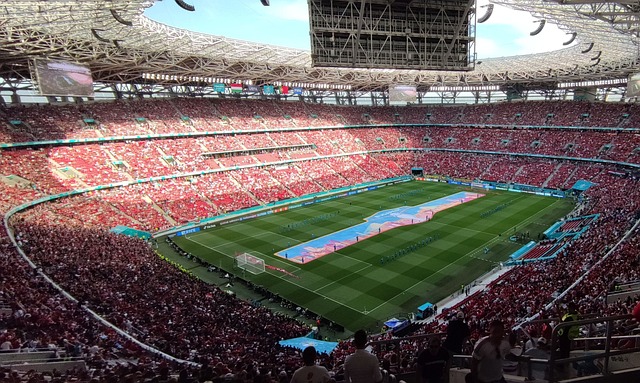 无疑为国际 无疑为国际