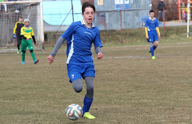 数篮球迷心 数篮球迷心